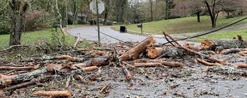 storm debris