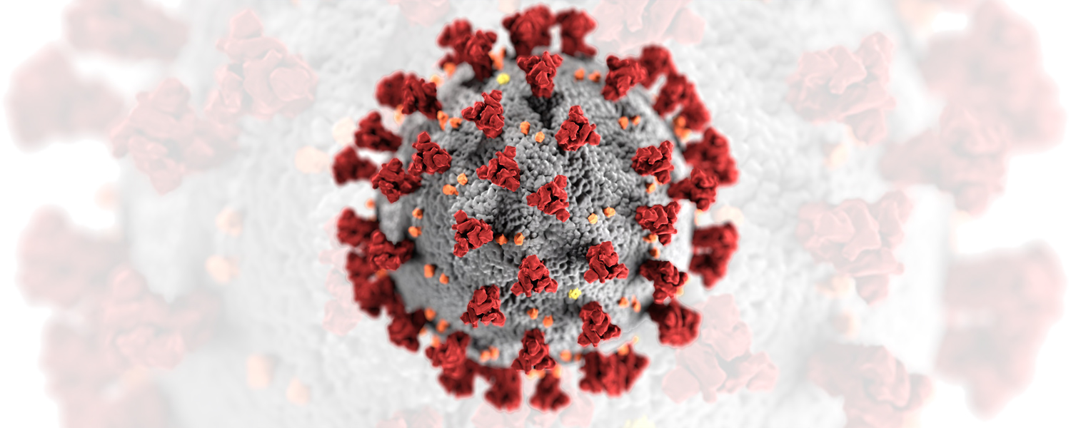 CDC picture of virus