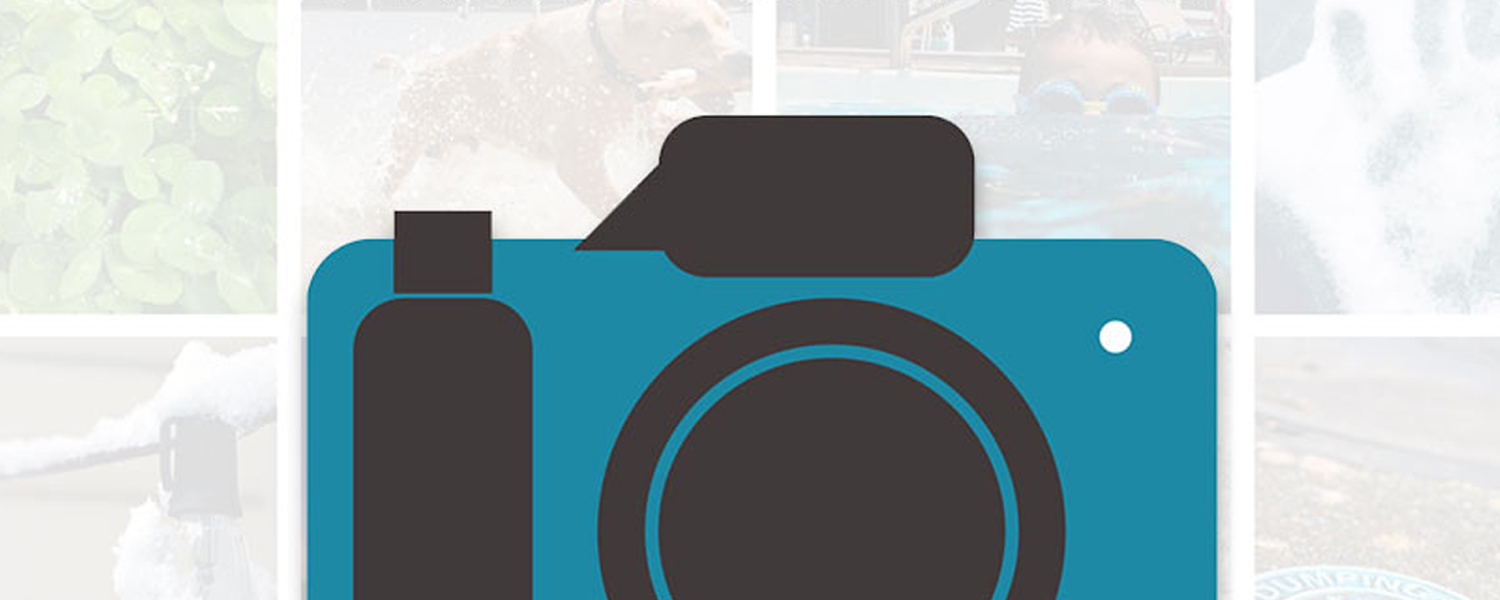 2nd annual photo contest