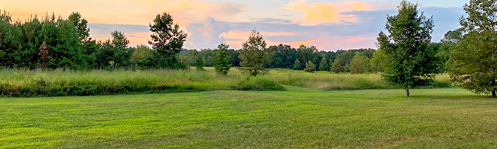 Allatoona Creek Park