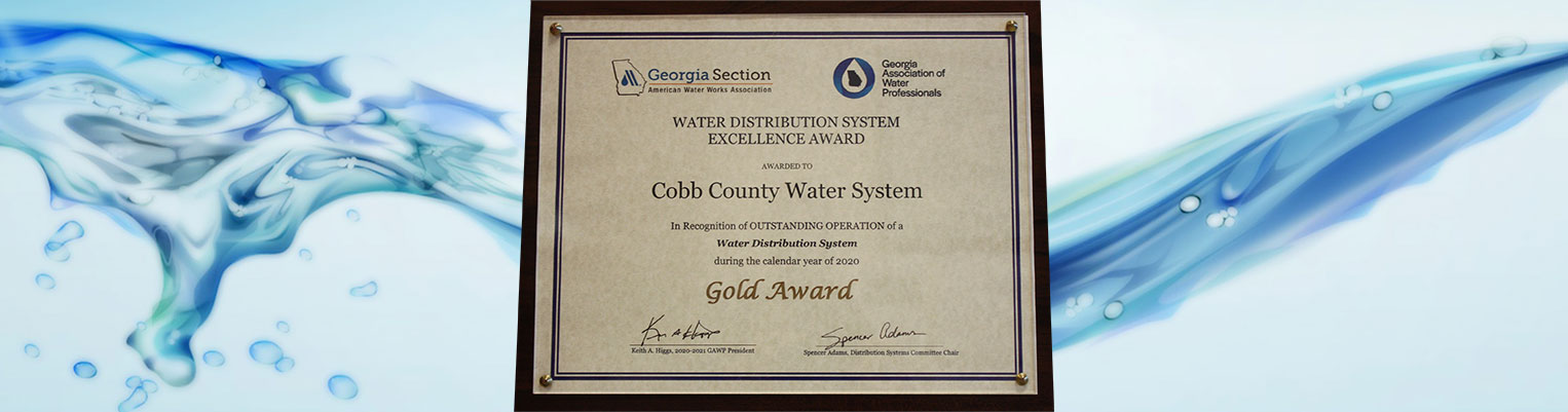 CCWS System Maintenance Gold Award 2020