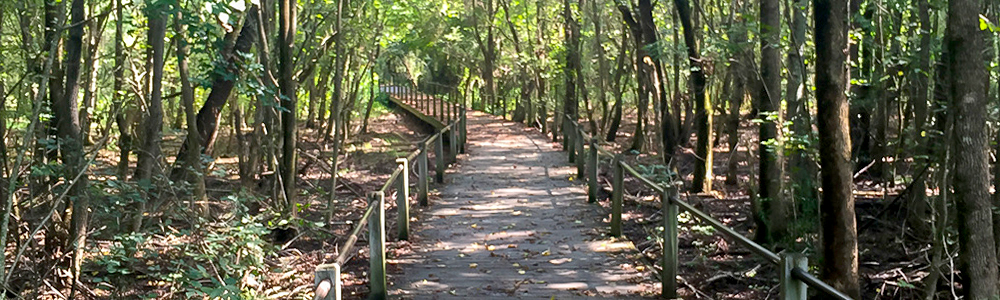 Heritage Park boardwalk trail