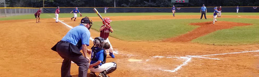 Lions Park Baseball