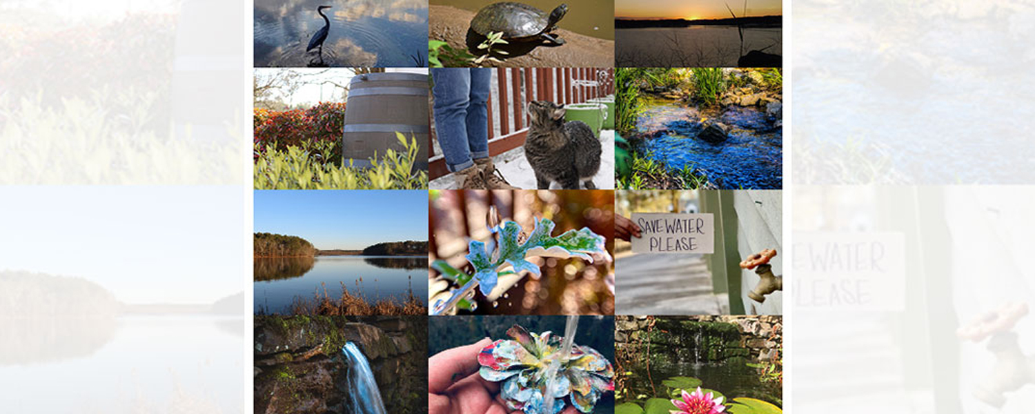 2021-Photo-Contest-Winner-Collage