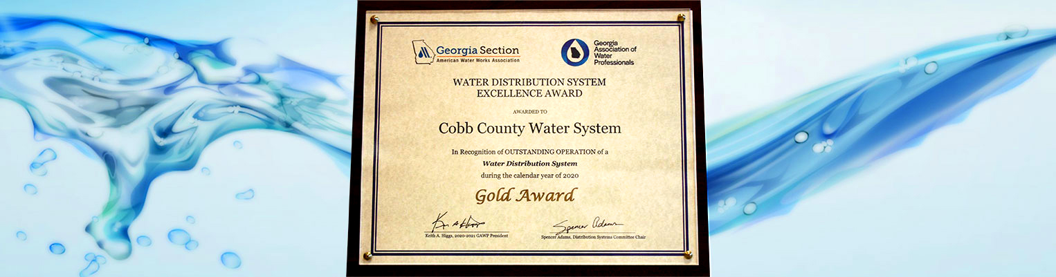 CCWS System Maintenance Gold Award 2020