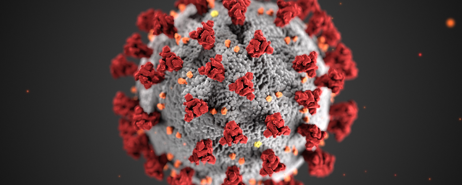 picture of coronavirus