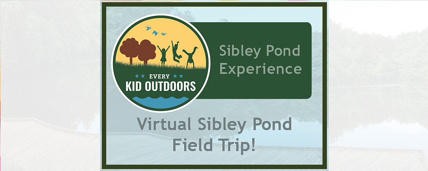 EKO-Virtual Field Trip
