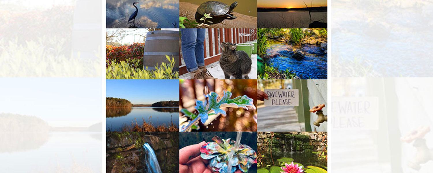 2021-Photo-Contest-Winner-Collage