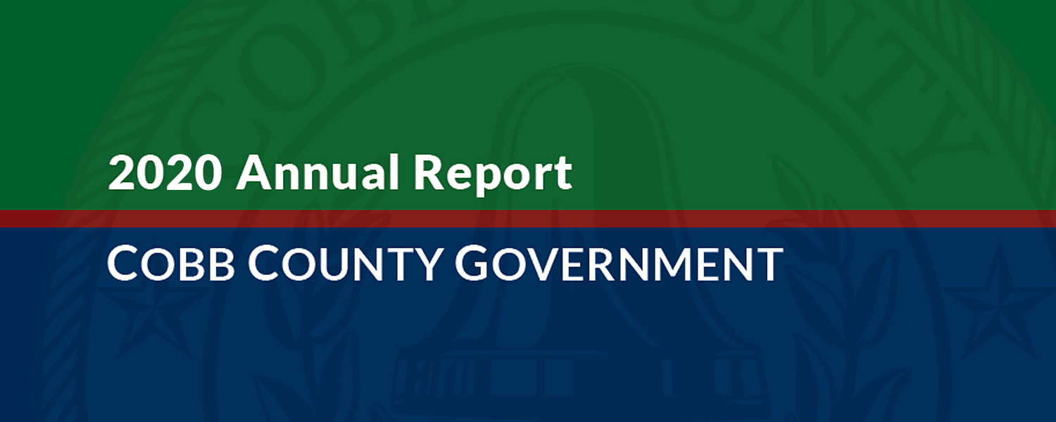 Cobb County 2020 Annual Report