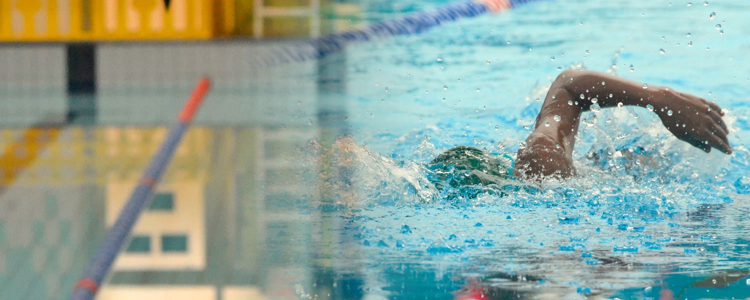 pool and swimmer