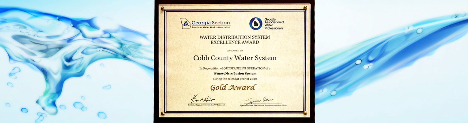 CCWS System Maintenance Gold Award 2020