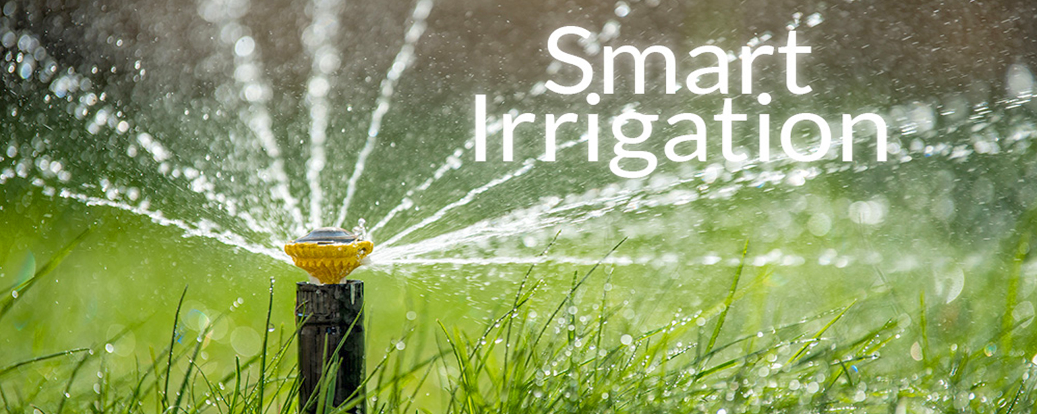 Watering Lawn