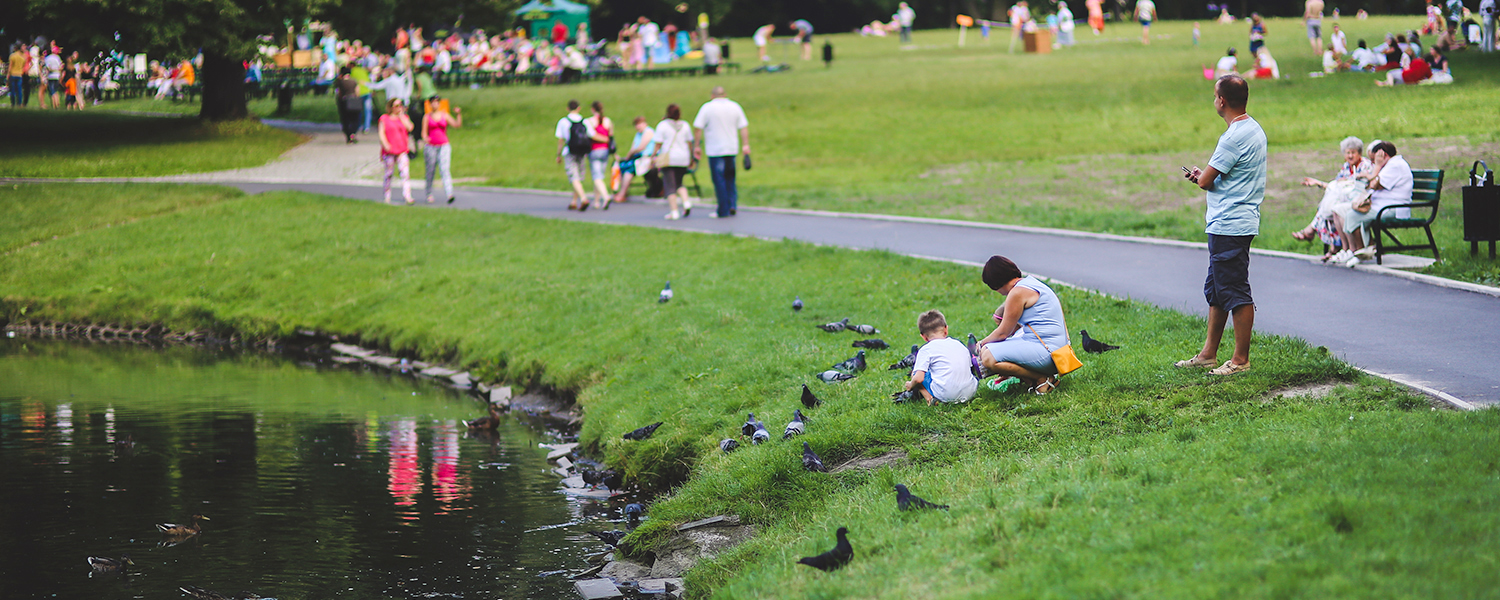 picture of a park