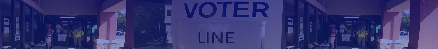 picture of elections site