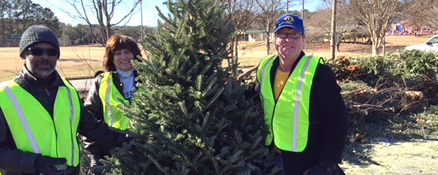 Folks Tree Recycling
