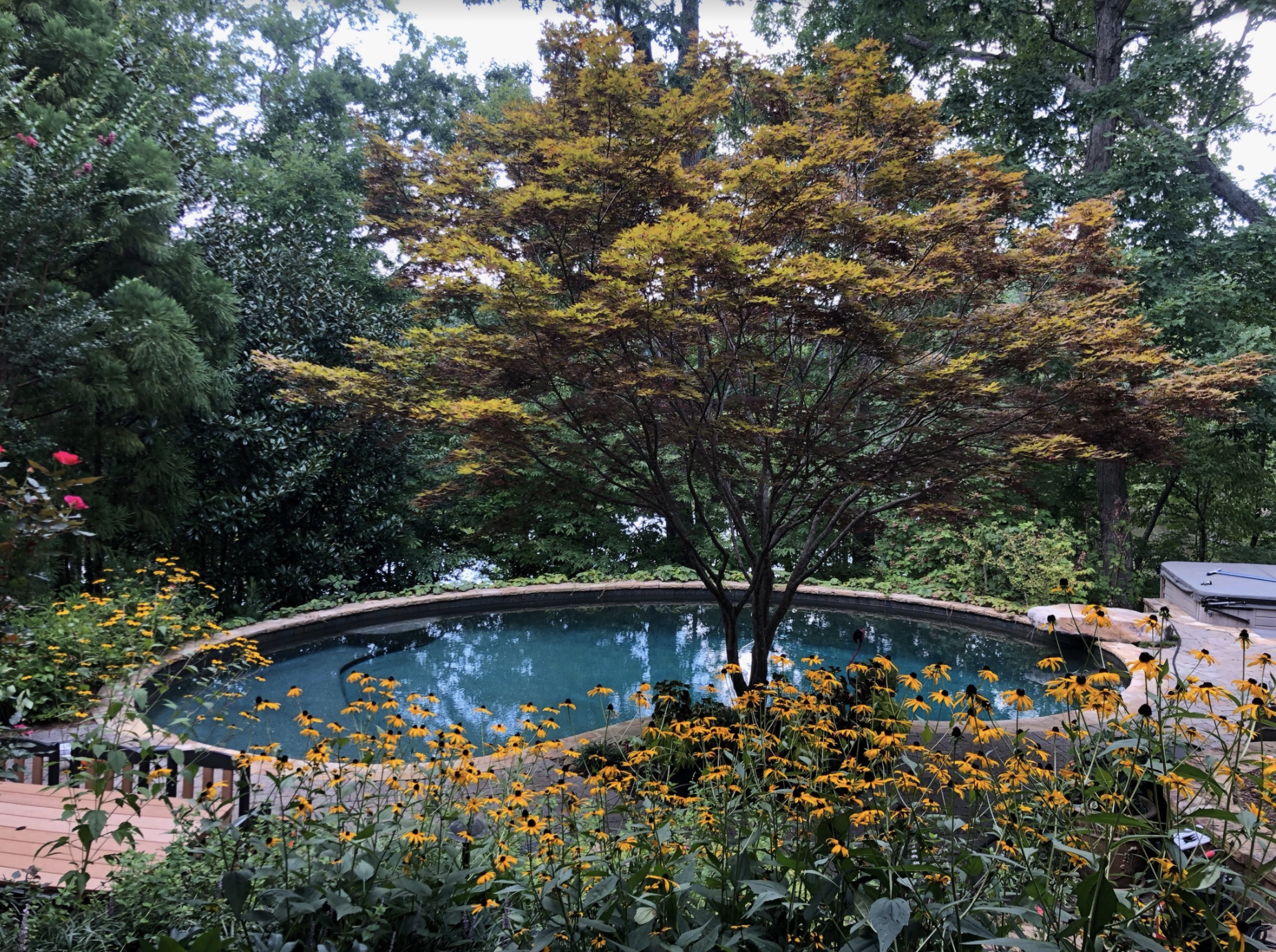 19th Annual Garden Tour