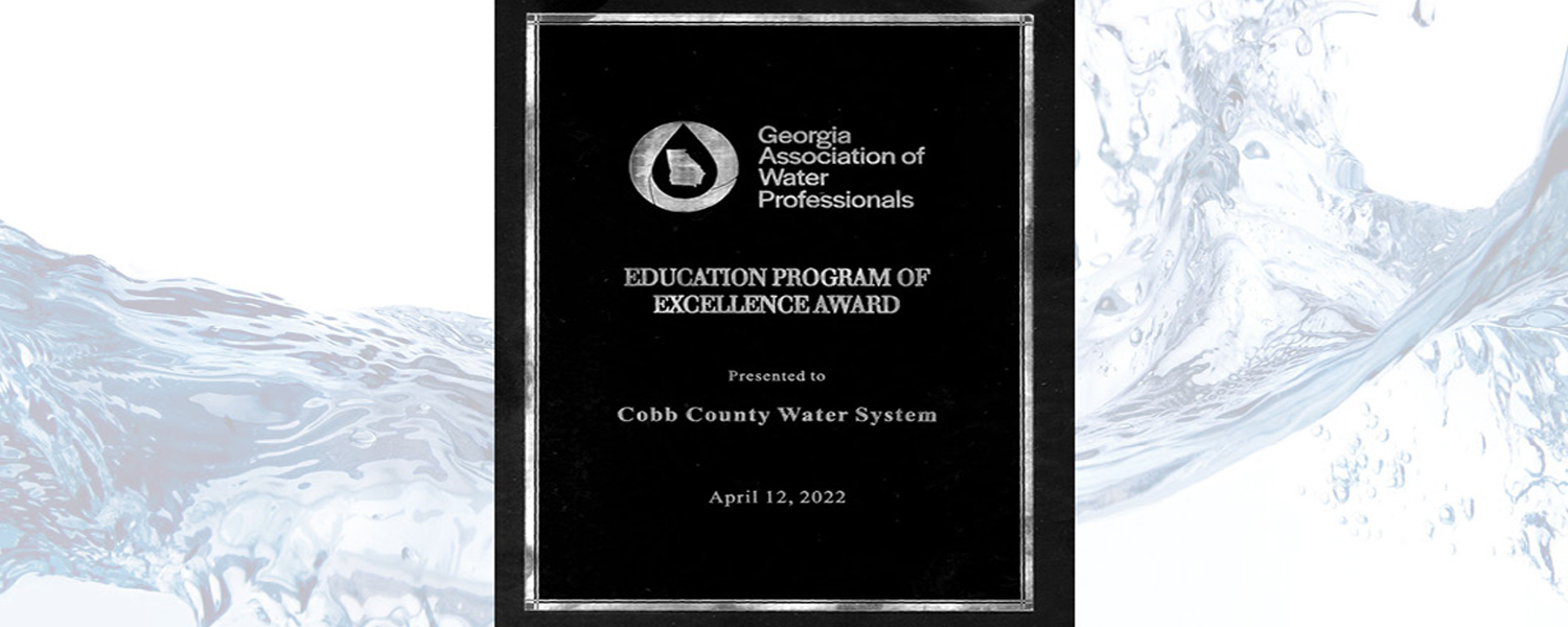 Program Of Excellence Award 2022
