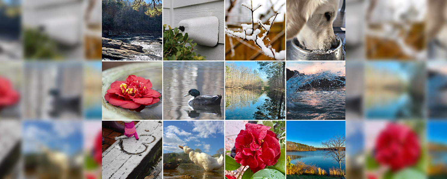 Photo Contest Winners 2022 Collage