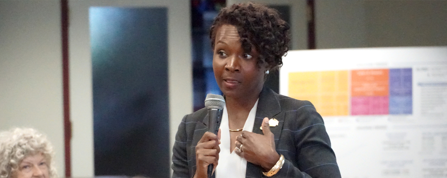 picture of chairwoman at town hall