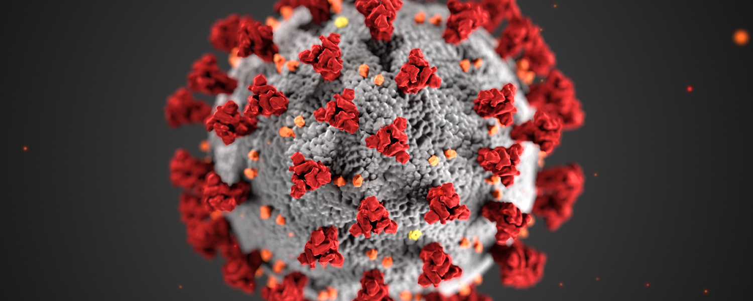 picture of coronavirus