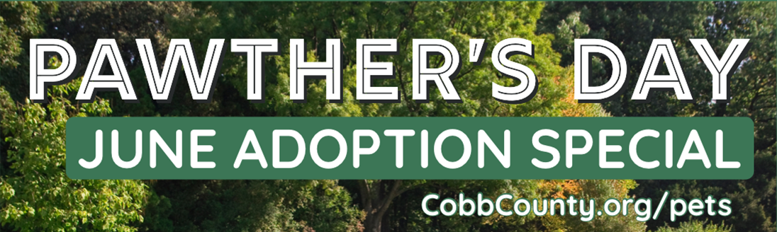 Pawthers Day adoption banner