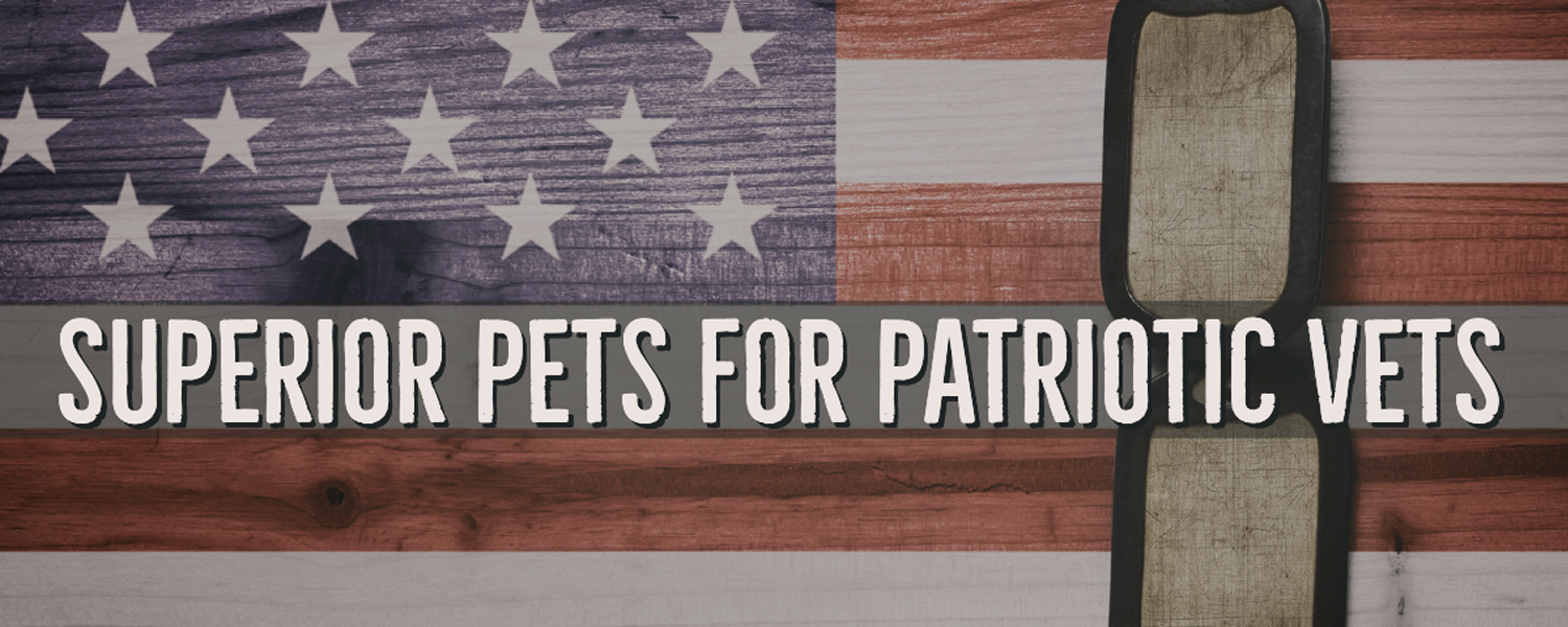 American flag with military dog tags