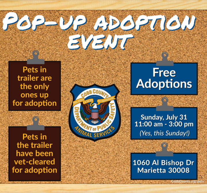Bulletin board with details of the adoption event