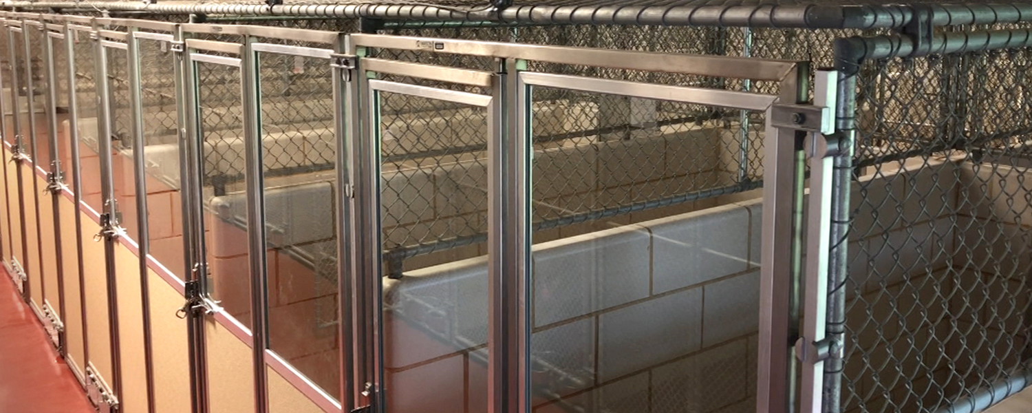 picture of animal services shelter