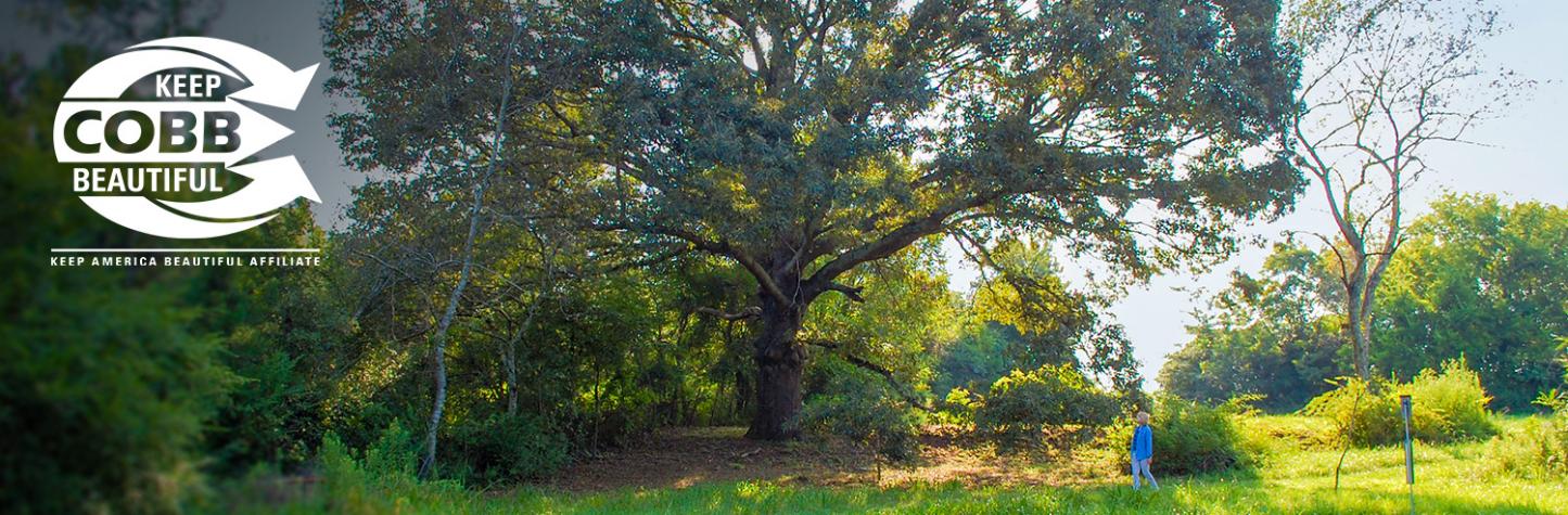 Old Oak Tree