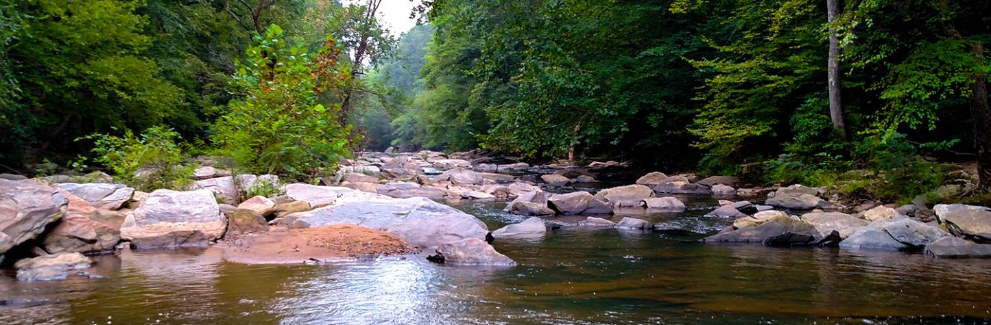 Chattahoochee River