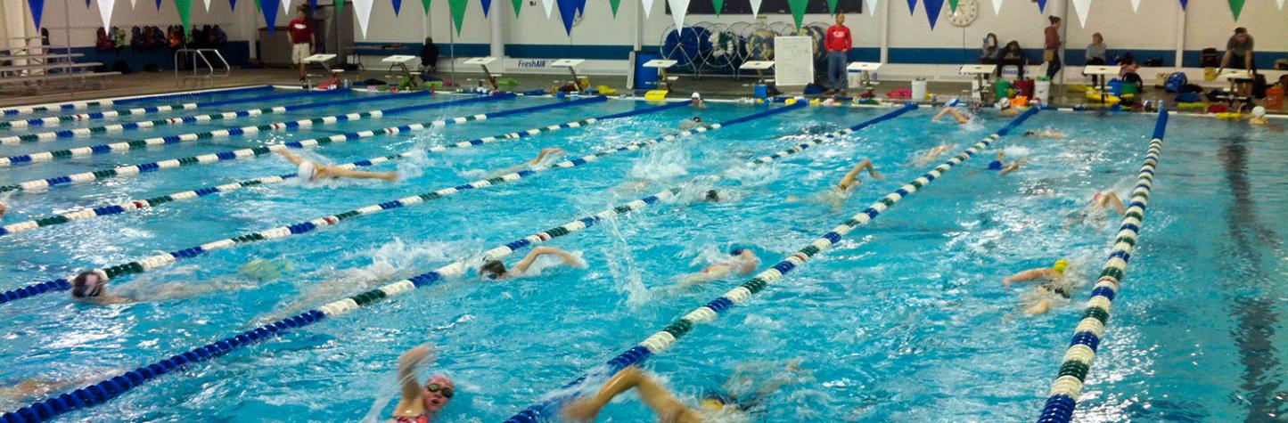 Swim team aquatics
