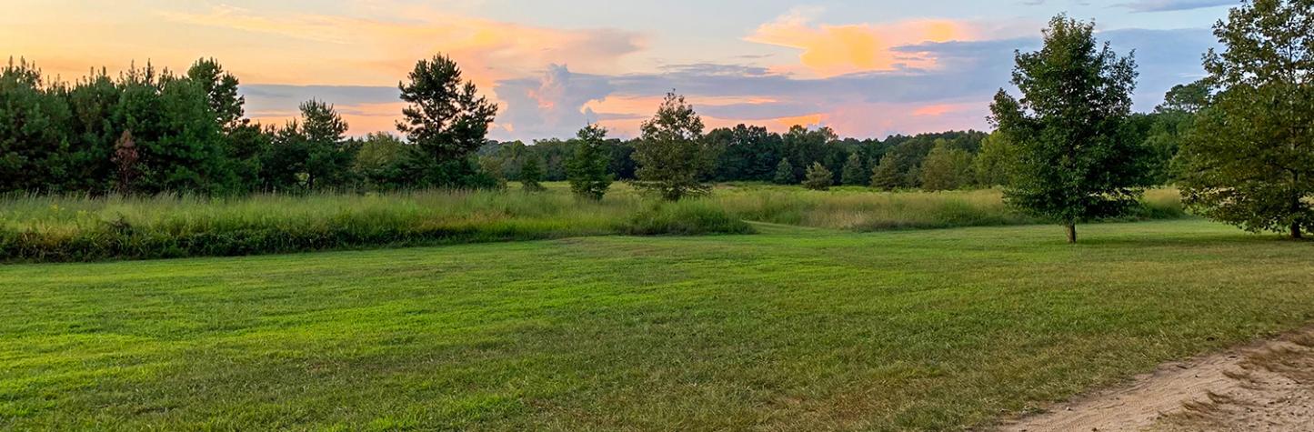 Allatoona Creek Park