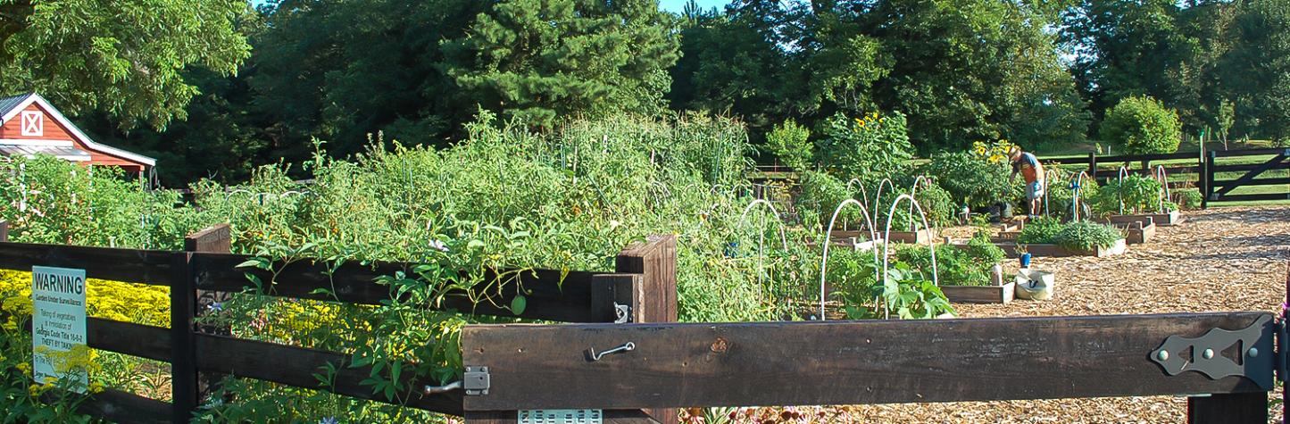 Green Meadows Preserve Community Garden
