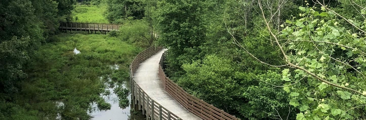 Rhyne Park
