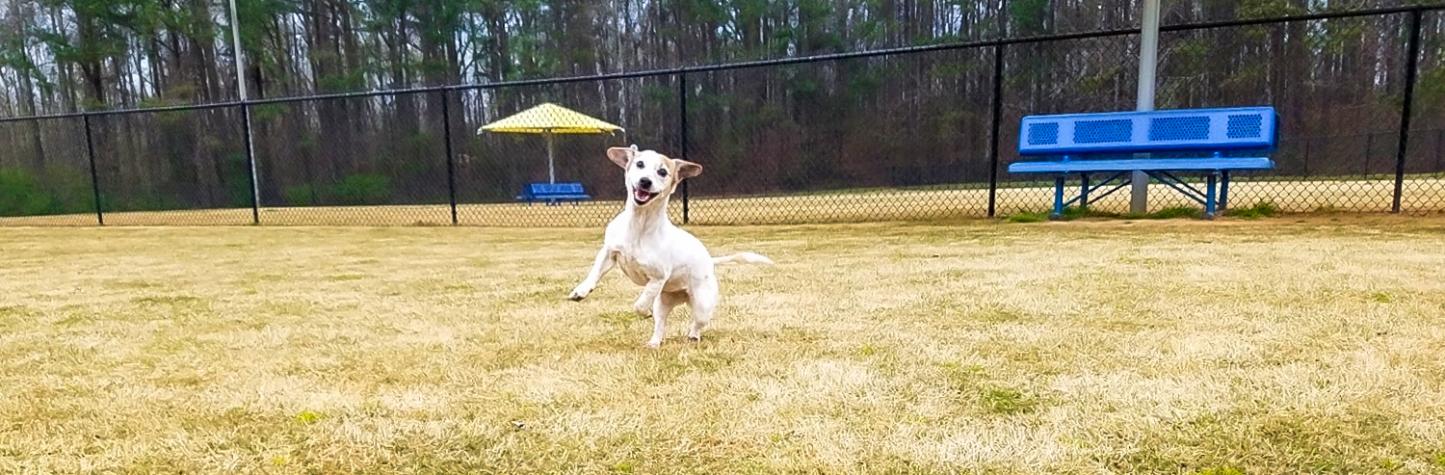 Sweetwater Dog Park