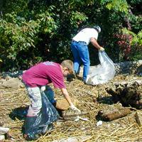 Volunteers picking up trash