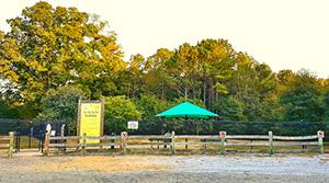 Dog Parks Cobb County Georgia