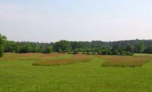 Corps Property