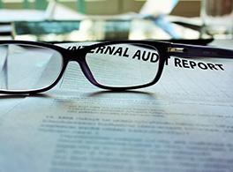 Internal Audit Report Thumb
