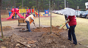 School Campus Beautification Program Volunteers