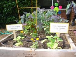 Dig n' the Dirt Program Garden