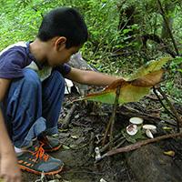 Fairy Habitat Helpers
