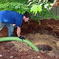 Septic System Pump
