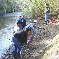 Volunteer group stream cleanup