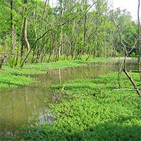 Water and Wastewater 101