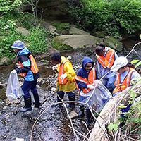 Volunteer group stream cleanup