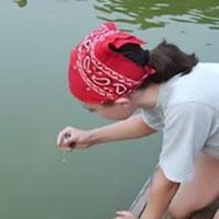 Watershed Stewards Volunteer