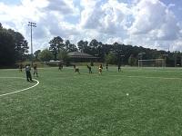 Adult Flag Football