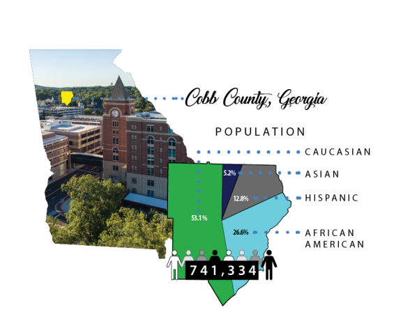 Cobb County Demographics