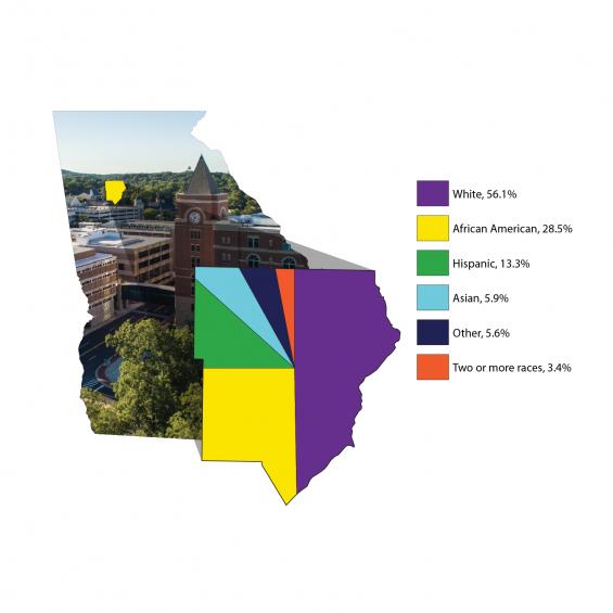 Demographics in Cobb County by Race